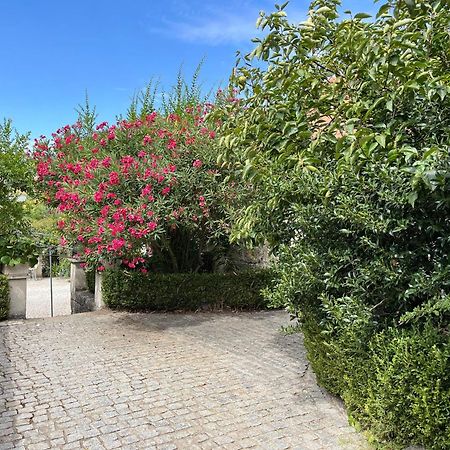 Quinta Santo Antonio Do Rio Villa Celorico Da Beira Bagian luar foto