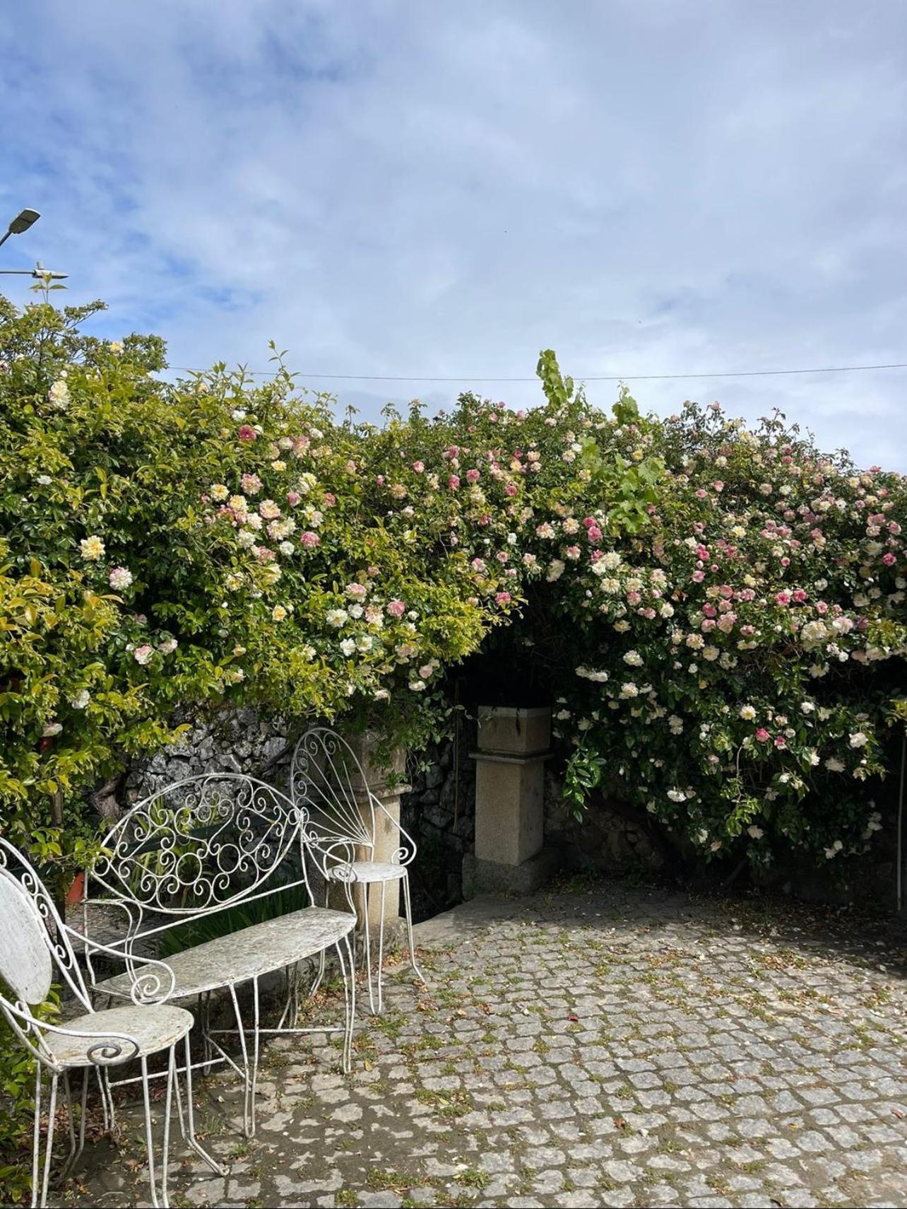 Quinta Santo Antonio Do Rio Villa Celorico Da Beira Bagian luar foto