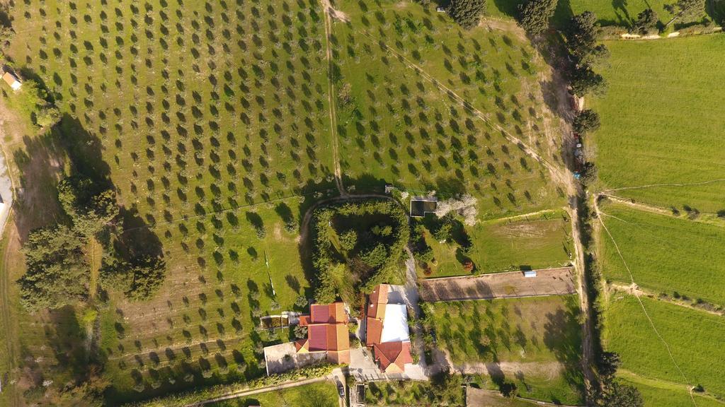 Quinta Santo Antonio Do Rio Villa Celorico Da Beira Bagian luar foto